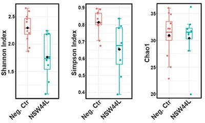 Spotty liver disease adversely affect the gut microbiota of layers hen